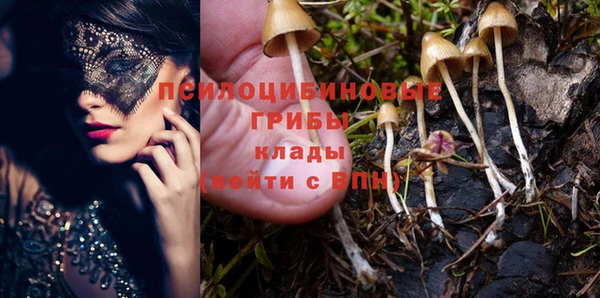jwh Майский