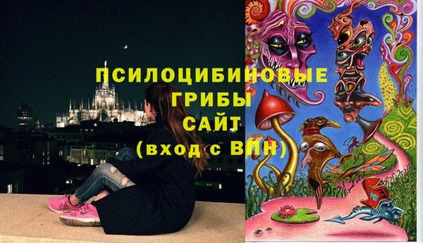 МДМА Медвежьегорск