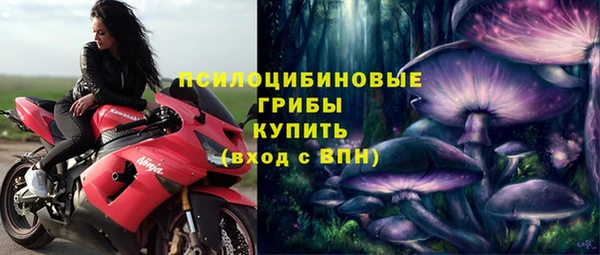 ешки Магадан