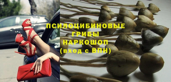 Альфа ПВП Медногорск