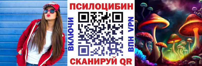 Галлюциногенные грибы Psilocybine cubensis  Ликино-Дулёво 